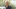 das Bild Jan Schametat im Interview