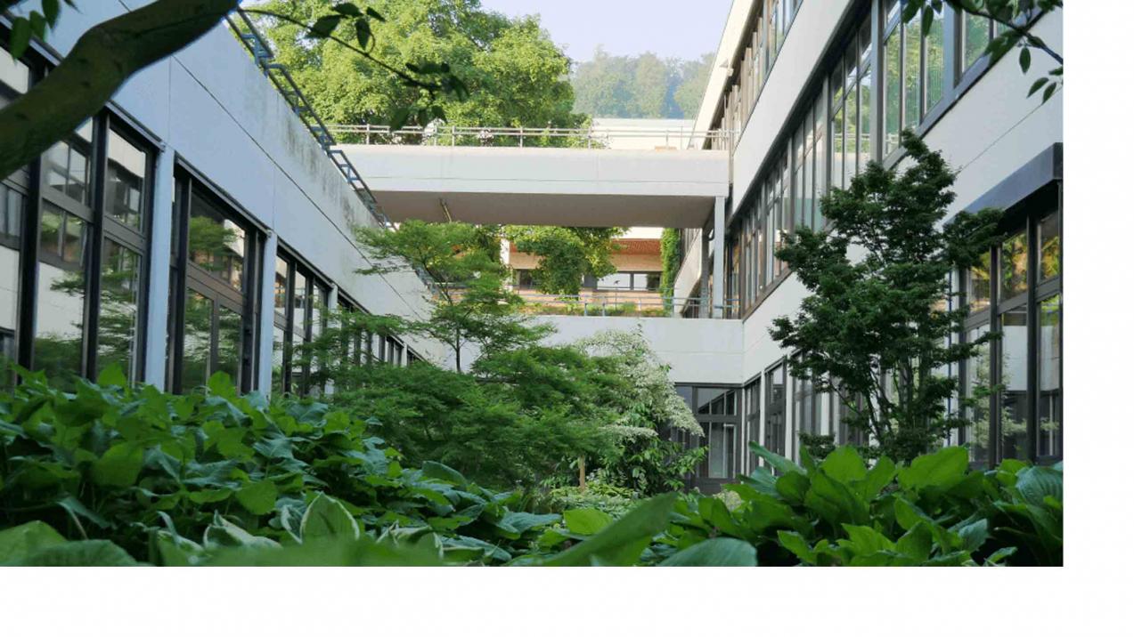 Das Bild zeigt den begruenten Innenhof des Campus Hoexter Das Bild zeigt den begruenten Innenhof des Campus Hoexter